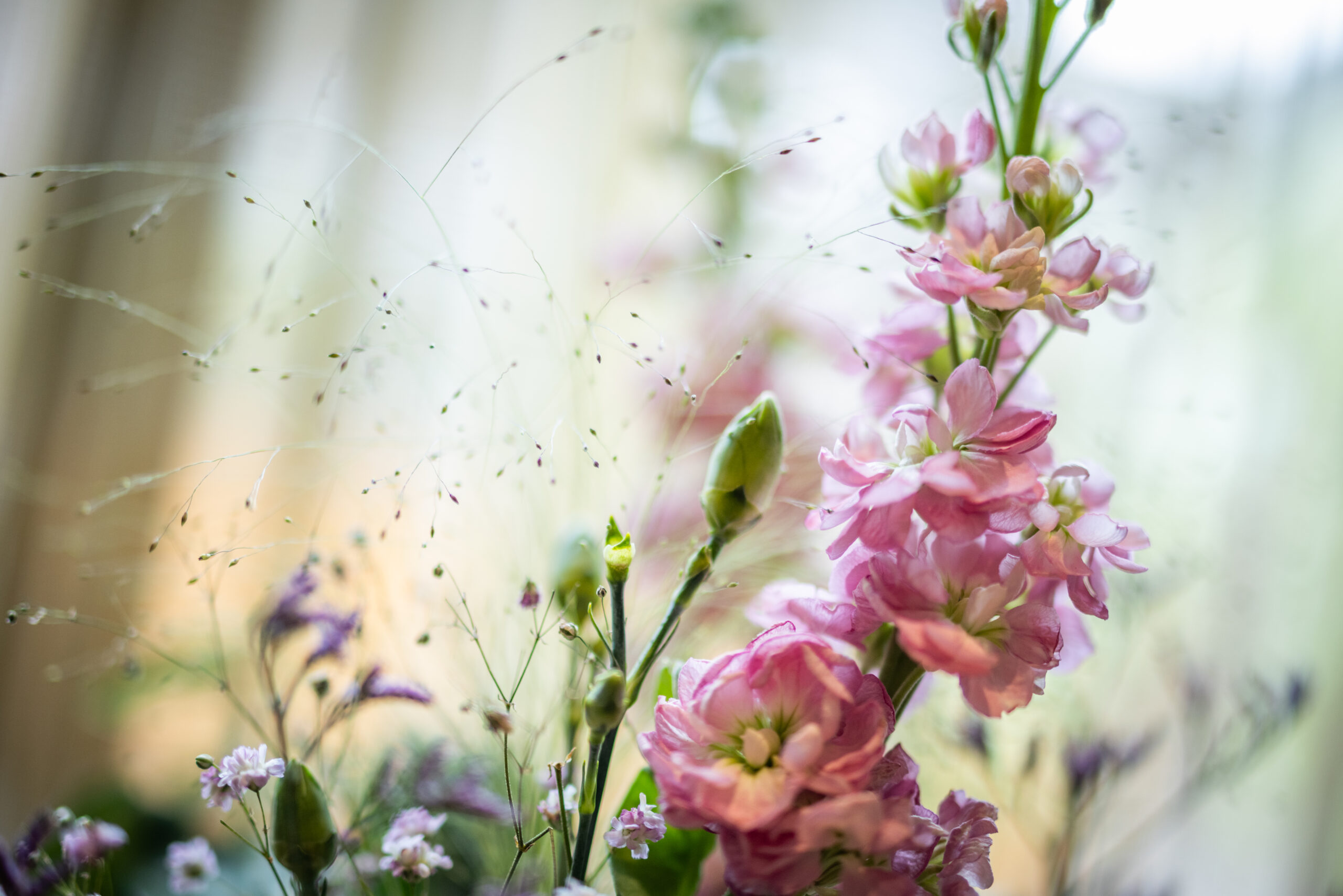 Frühstück & Dinner